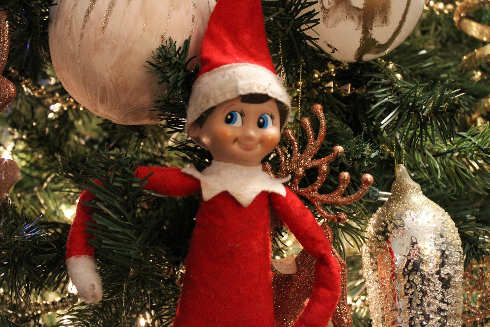 An elf toy hidden between the branches of a pine tree, as part of the Elf of the Shelf game, one of the best Christmas traditions for couples with children.